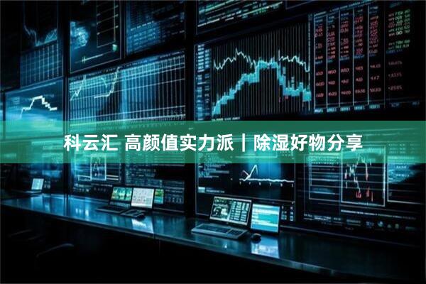 科云汇 高颜值实力派｜除湿好物分享