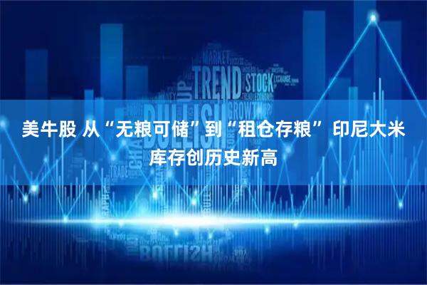 美牛股 从“无粮可储”到“租仓存粮” 印尼大米库存创历史新高